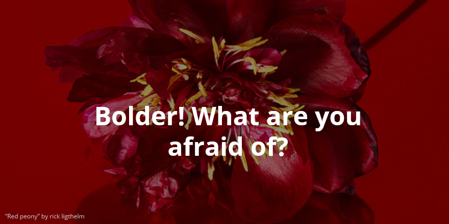Boldness and Success for Artists, Writers, and Everyone Else ...