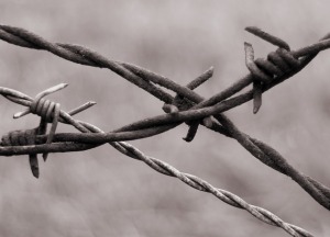 barbed-wire-345760_640