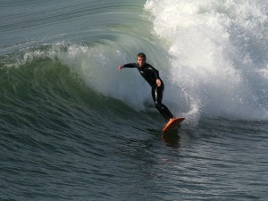 surfer-13415_640
