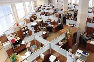 business workers in office cubicles