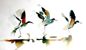 Watercolor of three water birds taking flight