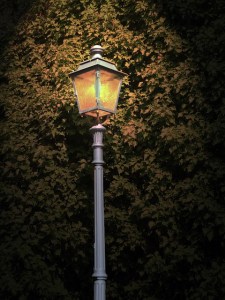 A lighted lantern in front of a tree at night