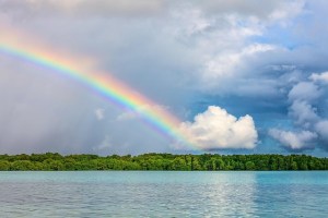 Rainbow in sky with clouds above a thick row of trees and water