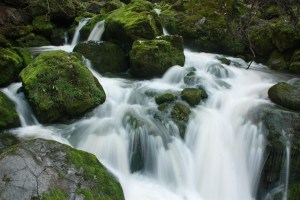 Waterfall with water that looks like milk