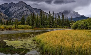Blue mountains with trees, cloudy sky, river and grass